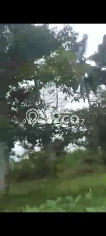 Tanah di Tumpang, Malang Luas 3640m2 Dijual Segera Tanah di Tumpang, Malang Luas 3640m2 Dijual Segera