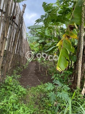 Dijual Tanah Lokasi Purwodadi, Malang Seluas 1900m2 Dijual Tanah Lokasi Purwodadi, Malang Seluas 1900m2
