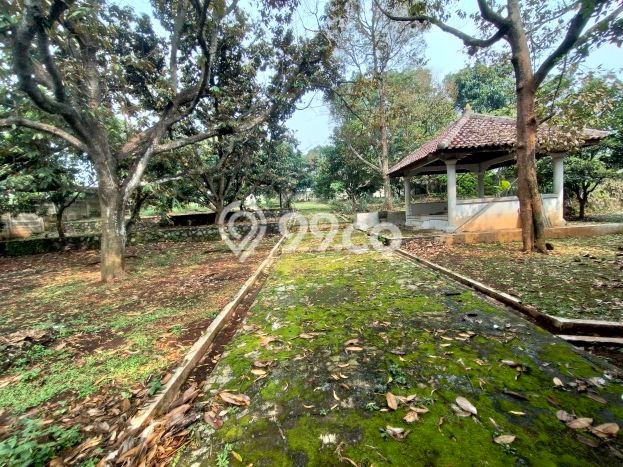 Tanah Kavling untuk Dijual di Gunung Sindur Bogor 8545m2 Tanah Kavling untuk Dijual di Gunung Sindur Bogor 8545m2