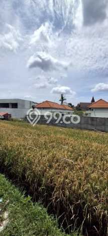 Kavling Tanah untuk Disewa di Tibubeneng Lahan Luas 1860m2 Kavling Tanah untuk Disewa di Tibubeneng Lahan Luas 1860m2