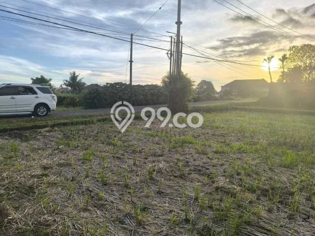 Kavling Tanah untuk Dijual di Kedungu, Tabanan, Luas 1668m2 Kavling Tanah untuk Dijual di Kedungu, Tabanan, Luas 1668m2