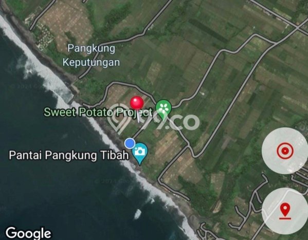 Untuk Dijual Tanah di Tabanan, Luas 270000m2 SHM Untuk Dijual Tanah di Tabanan, Luas 270000m2 SHM