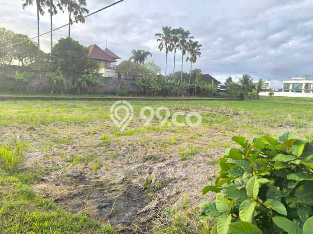 Kavling Tanah untuk Dijual di Kedungu, Tabanan, Luas 1668m2 Kavling Tanah untuk Dijual di Kedungu, Tabanan, Luas 1668m2