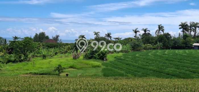 Kavling Tanah di Selemadeg Dijual Luas 8150m2 Legalitas SHM Kavling Tanah di Selemadeg Dijual Luas 8150m2 Legalitas SHM