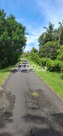 Lahan Strategis di Selemadeg Dijual dengan Luas 5370m2 Lahan Strategis di Selemadeg Dijual dengan Luas 5370m2