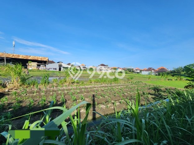 Tanah Dijual Area Strategis di Panjer Denpasar 865m2 Tanah Dijual Area Strategis di Panjer Denpasar 865m2