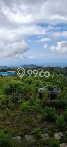 Tanah Dijual di Buleleng Seluas 125000m2 Strategis Tanah Dijual di Buleleng Seluas 125000m2 Strategis
