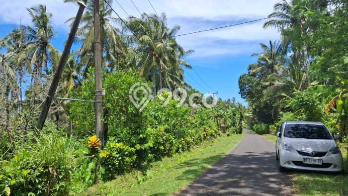 Lahan Strategis di Selemadeg Dijual dengan Luas 5370m2 Lahan Strategis di Selemadeg Dijual dengan Luas 5370m2