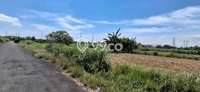 Tanah Investasi Dijual di Denpasar Punya Luas 1970m2 Tanah Investasi Dijual di Denpasar Punya Luas 1970m2