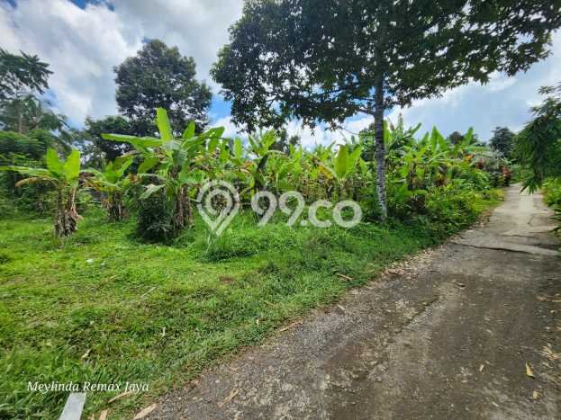 Tanah Dijual Lokasi Payangan, Gianyar Luas 8900m2 Legalitas Aman Tanah Dijual Lokasi Payangan, Gianyar Luas 8900m2 Legalitas Aman