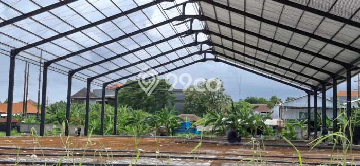 Gudang untuk Disewa di Pusat Denpasar Luas Bangunan 1500m2 Gudang untuk Disewa di Pusat Denpasar Luas Bangunan 1500m2