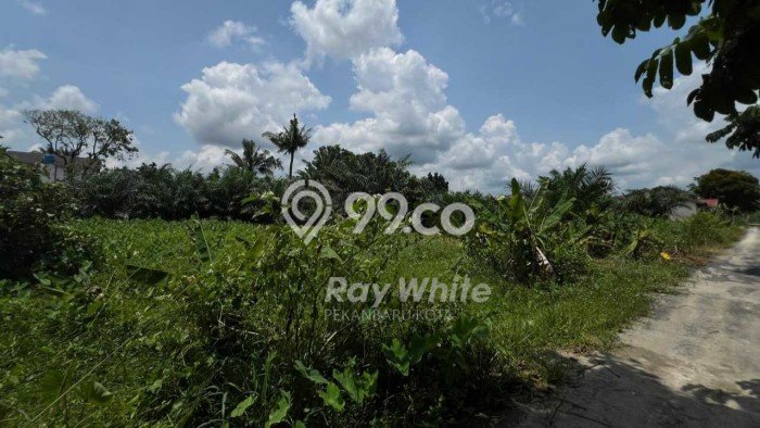 Untuk Dijual Tanah di Tenayan Raya Pekanbaru Luas 4000m2 - Untuk Dijual Tanah di Tenayan Raya Pekanbaru Luas 4000m2 -
