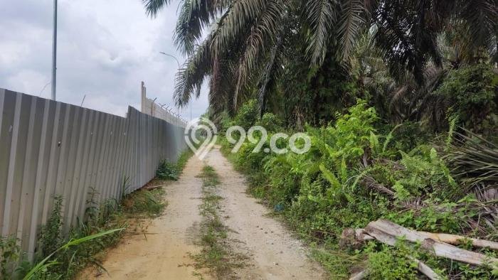 Lahan Investasi Lokasi Siak Hulu Kampar - Lahan Investasi Lokasi Siak Hulu Kampar -