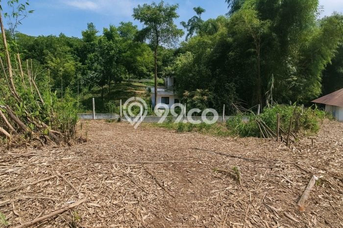 Tanah Dijual Area Strategis di Depok II Depok 1616m2 Tanah Dijual Area Strategis di Depok II Depok 1616m2