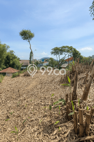 Tanah Dijual Area Strategis di Depok II Depok 1616m2 Tanah Dijual Area Strategis di Depok II Depok 1616m2