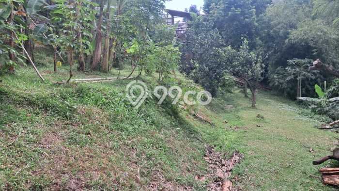 Tanah di Jagakarsa, Jakarta Selatan Luas 1500m2 Dijual Segera Tanah di Jagakarsa, Jakarta Selatan Luas 1500m2 Dijual Segera