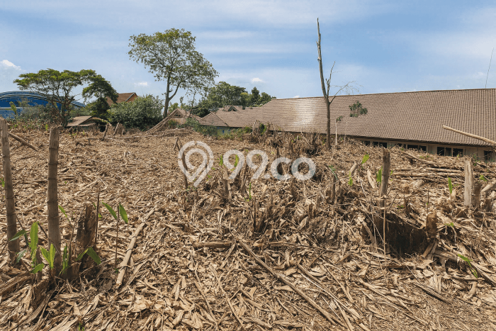 Tanah Dijual Area Strategis di Depok II Depok 1616m2 Tanah Dijual Area Strategis di Depok II Depok 1616m2