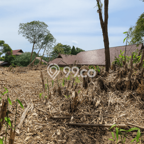 Tanah Dijual Area Strategis di Depok II Depok 1616m2 Tanah Dijual Area Strategis di Depok II Depok 1616m2