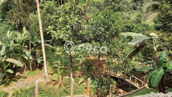 Rumah 3 KT 3 KM View Gunung di Cijeruk, Bogor Rumah 3 KT 3 KM View Gunung di Cijeruk, Bogor