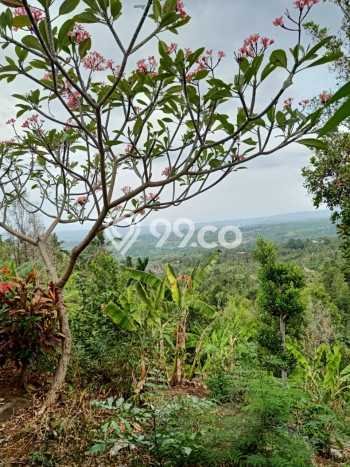 Tanah Komersial Dijual di Sukasada Buleleng 1670m2 Tanah Komersial Dijual di Sukasada Buleleng 1670m2