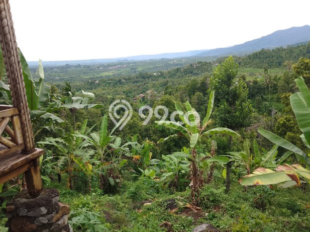 Tanah Komersial Dijual di Sukasada Buleleng 1670m2 Tanah Komersial Dijual di Sukasada Buleleng 1670m2