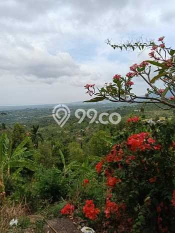 Tanah Komersial Dijual di Sukasada Buleleng 1670m2 Tanah Komersial Dijual di Sukasada Buleleng 1670m2