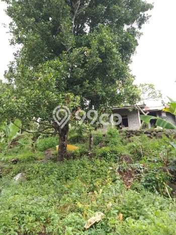 Tanah Komersial Dijual di Sukasada Buleleng 1670m2 Tanah Komersial Dijual di Sukasada Buleleng 1670m2