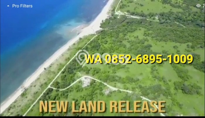 Lahan untuk Dijual Lokasi Mamboro, Sumba Tengah Luas 300000m2 SHM Lahan untuk Dijual Lokasi Mamboro, Sumba Tengah Luas 300000m2 SHM