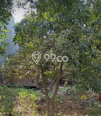 Tanah Kavling Dijual di Pantai Indah Kapuk, Jakarta Utara dengan Luas Tanah 1072m2 Tanah Kavling Dijual di Pantai Indah Kapuk, Jakarta Utara dengan Luas Tanah 1072m2