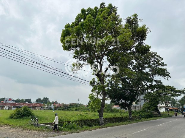 Tanah Dijual Lokasi Dukuhwaru, Tegal Luas 7043m2 Legalitas Aman Tanah Dijual Lokasi Dukuhwaru, Tegal Luas 7043m2 Legalitas Aman