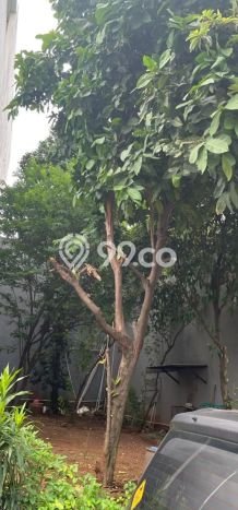 Tanah Potensial Kawasan Pegadungan, Luas 90m², Akses Mudah Tanah Potensial Kawasan Pegadungan, Luas 90m², Akses Mudah