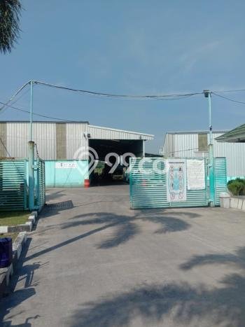 Pabrik Dijual Lokasi Emas di Rangkasbitung Luas 10m2 Pabrik Dijual Lokasi Emas di Rangkasbitung Luas 10m2