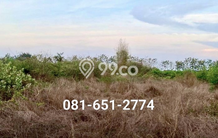 Tanah Kavling untuk Dijual di Trowulan Mojokerto 40000m2 Tanah Kavling untuk Dijual di Trowulan Mojokerto 40000m2