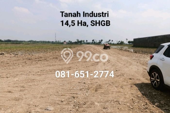 Tanah Dijual Lokasi Lengkong, Nganjuk Luas 145000m2 Legalitas Aman Tanah Dijual Lokasi Lengkong, Nganjuk Luas 145000m2 Legalitas Aman