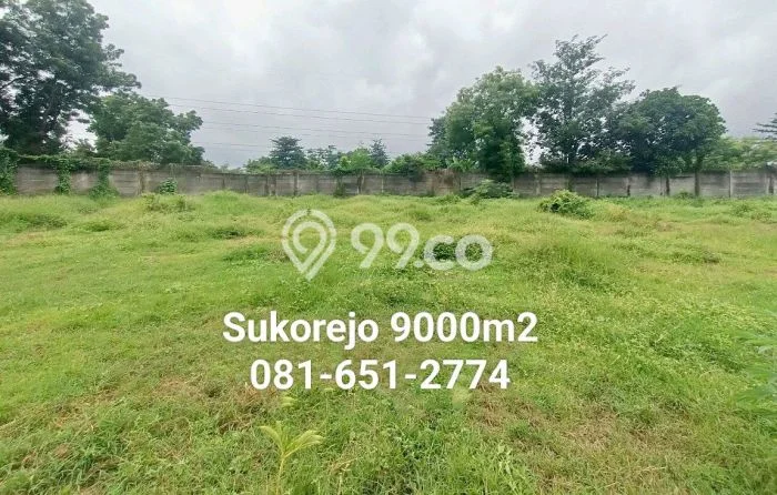 Gudang Usaha Dijual di Sukorejo Pasuruan LT 9200m2 & LB 400m2 Gudang Usaha Dijual di Sukorejo Pasuruan LT 9200m2 & LB 400m2