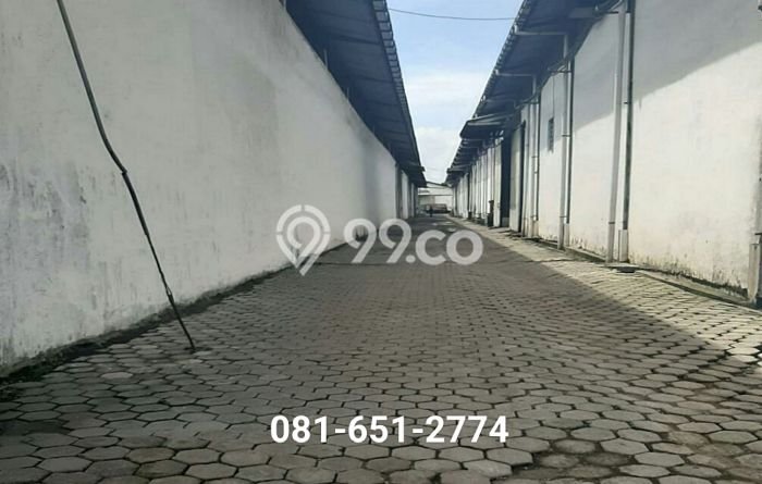 Pabrik Bagus Dijual di Mojokerto Mojokerto Lokasi Strategis Cocok untuk Kembangkan Bisnis Pabrik Bagus Dijual di Mojokerto Mojokerto Lokasi Strategis Cocok untuk Kembangkan Bisnis