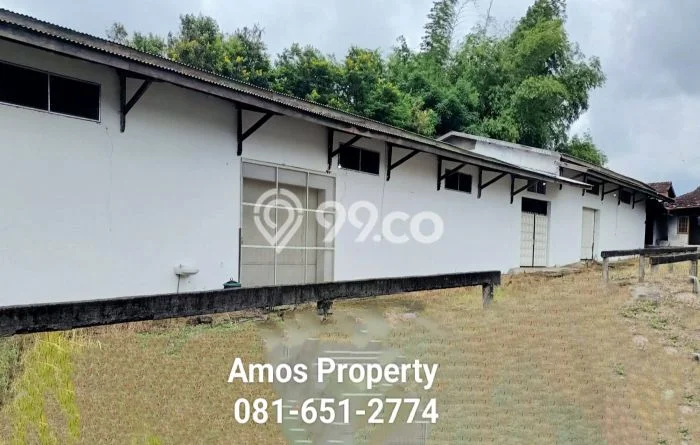 Gudang Dijual Lokasi Stratagis di Gondang Mojokerto Cocok untuk Bisnis Gudang Dijual Lokasi Stratagis di Gondang Mojokerto Cocok untuk Bisnis