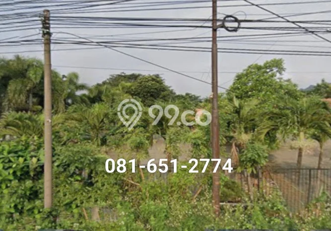 Untuk Dijual Tanah di Purwodadi Pasuruan Luas 60000m2 SHM Untuk Dijual Tanah di Purwodadi Pasuruan Luas 60000m2 SHM