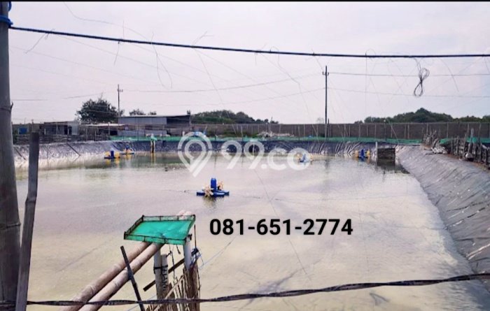 Komersial Bagus LT 60000m2 LB 50000m2 Dijual di Situbondo Situbondo Komersial Bagus LT 60000m2 LB 50000m2 Dijual di Situbondo Situbondo