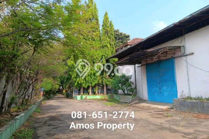 Lokasi Strategis! Dijual Pabrik Bisnis di Sukorejo, Pasuruan Kondisi Baik Lokasi Strategis! Dijual Pabrik Bisnis di Sukorejo, Pasuruan Kondisi Baik