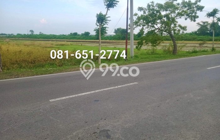 Dijual Tanah di Sukomoro Nganjuk Luas 34500m2 SHM Dijual Tanah di Sukomoro Nganjuk Luas 34500m2 SHM