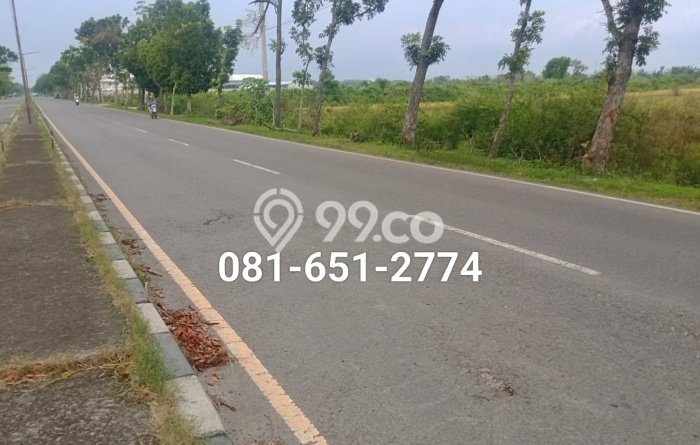 Dijual Tanah di Sukomoro Nganjuk Luas 34500m2 SHM Dijual Tanah di Sukomoro Nganjuk Luas 34500m2 SHM