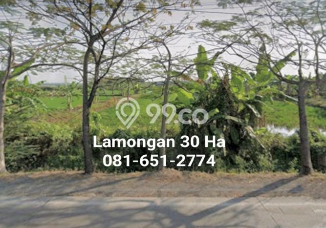 HARGA MENARIK! Tanah di Pucuk, Luas 300000m2m², Lokasi Potensial HARGA MENARIK! Tanah di Pucuk, Luas 300000m2m², Lokasi Potensial