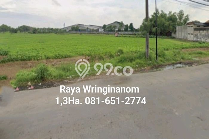 Tanah di Wringinanom, Gresik Luas 13000m2 Dijual Segera Tanah di Wringinanom, Gresik Luas 13000m2 Dijual Segera