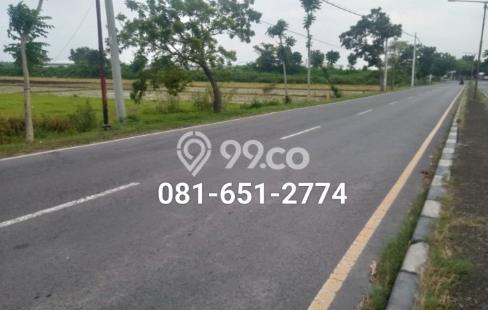 Dijual Tanah di Sukomoro Nganjuk Luas 34500m2 SHM Dijual Tanah di Sukomoro Nganjuk Luas 34500m2 SHM