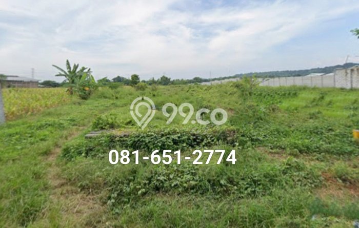 Tanah Kosong Dijual di Pasuruan dengan Area 9800m2 Tanah Kosong Dijual di Pasuruan dengan Area 9800m2