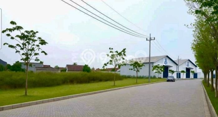 Kavling Tanah Dijual di Manyar Gresik Spesifikasi 6800m2 Kavling Tanah Dijual di Manyar Gresik Spesifikasi 6800m2