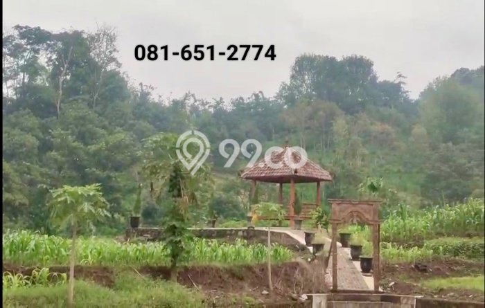 Tanah Investasi Dijual di Malang Punya Luas 75000m2 Tanah Investasi Dijual di Malang Punya Luas 75000m2