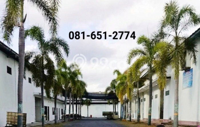 Pabrik Favorit Dijual di Muncar Banyuwangi Area Pusat Bisnis Pabrik Favorit Dijual di Muncar Banyuwangi Area Pusat Bisnis