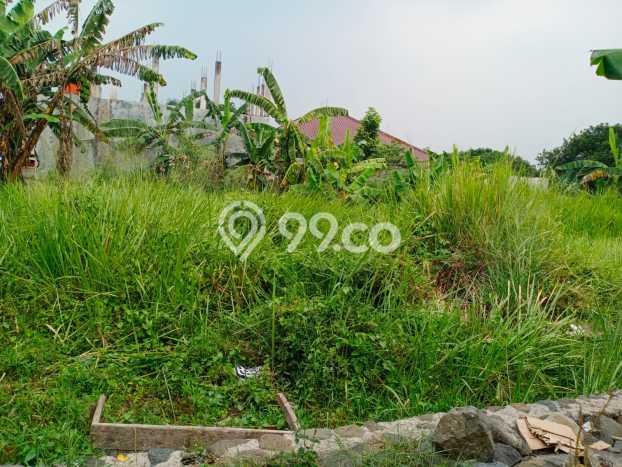 Tanah Kavling di Ciomas Bogor Disewakan dengan Luas 842m2 Tanah Kavling di Ciomas Bogor Disewakan dengan Luas 842m2